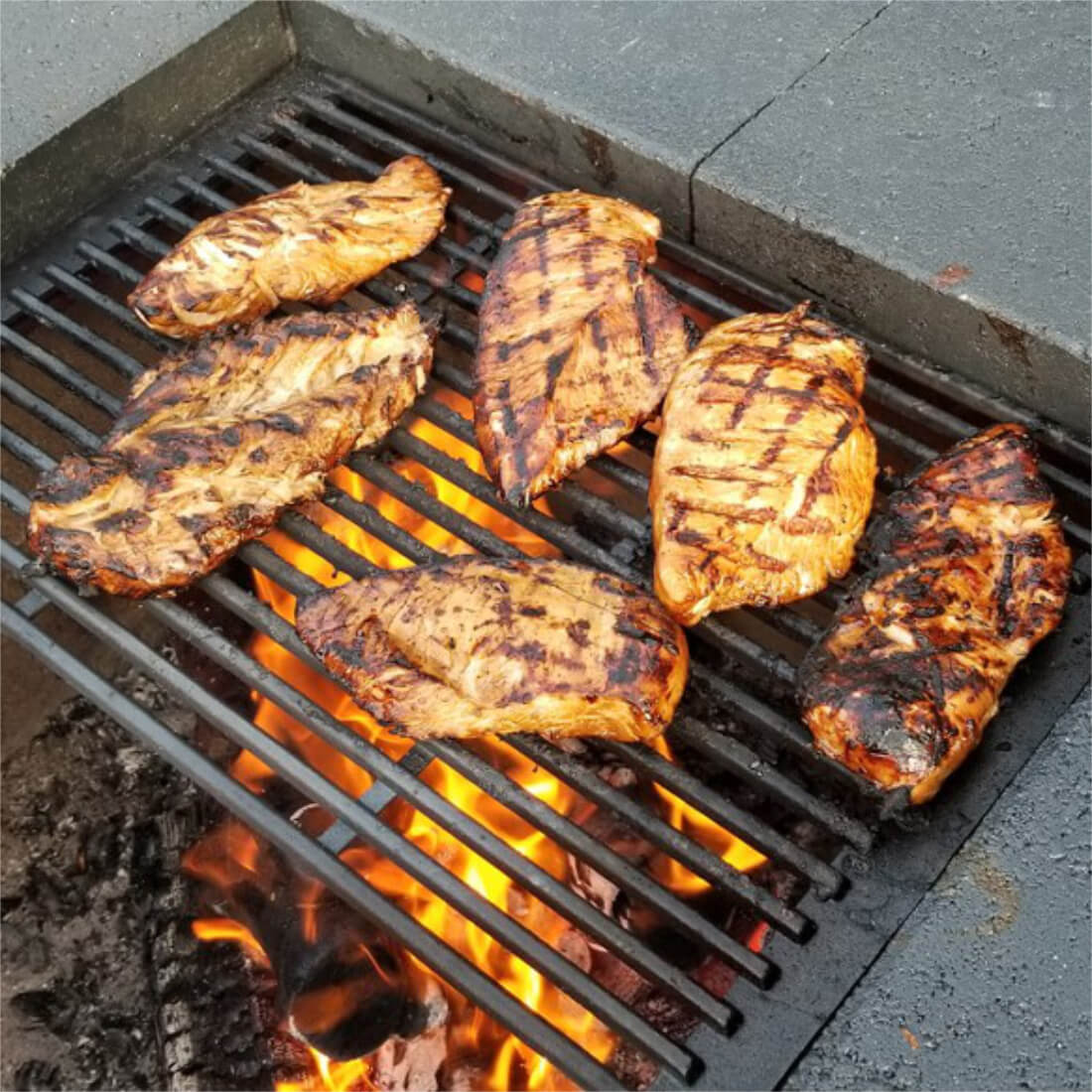 Chicken breasts grilling over a wood fire on a fire pit grill grate